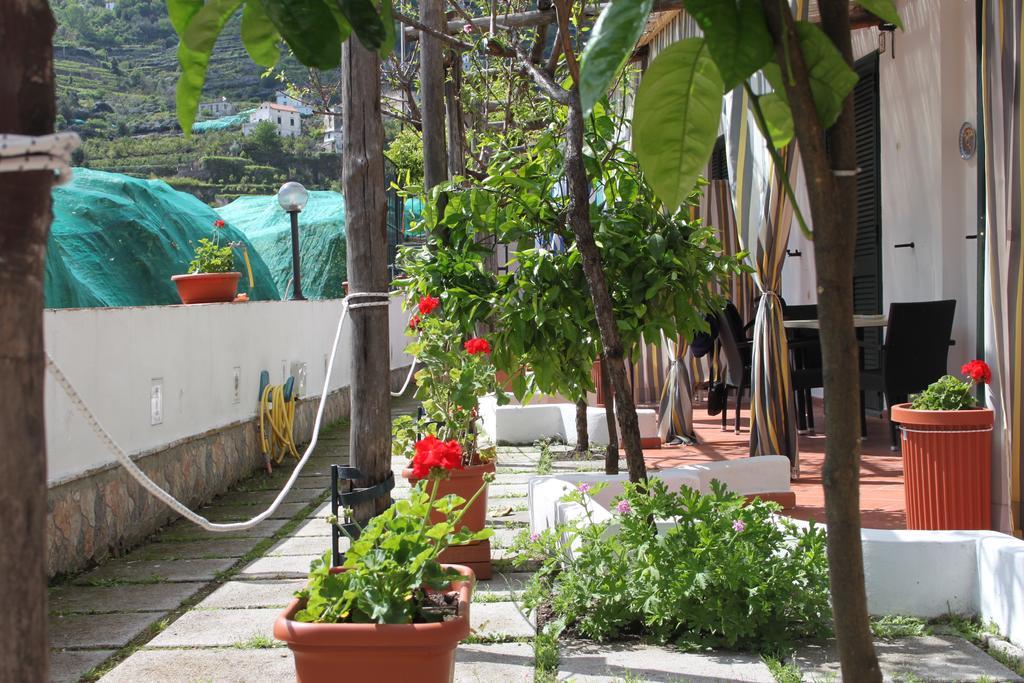 Eden Holiday Minori Extérieur photo